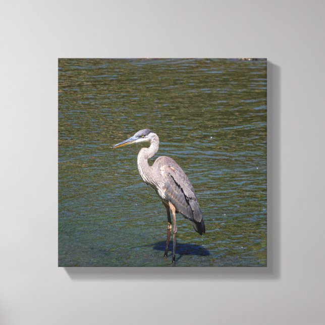 Toile d'oiseaux (Recto)