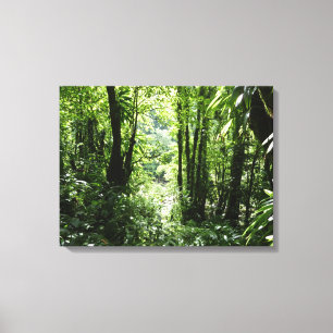 Toile Dominicain Forêt de pluie II Vert tropical
