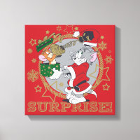 Don Tom et Jerry Surprise