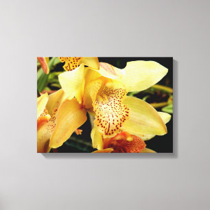 Toile d'orchidée jaune pâle Imprimer