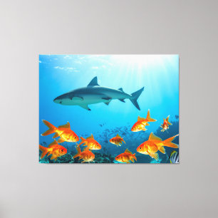Toile Doré parmi les requins