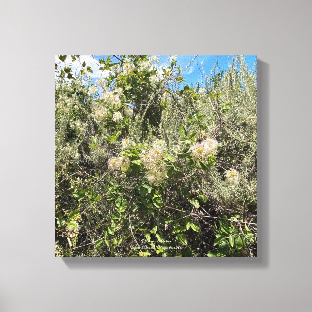 Toile Dr Seuss Flowers (Recto)