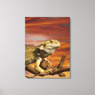 Toile Dragon barbu (Pogona Vitticeps) sur la branche,