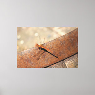 Toile Dragonfly à la recherche magique