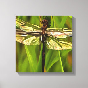 Toile Dragonfly Artistique En Brown Et Jaune Sur Vert
