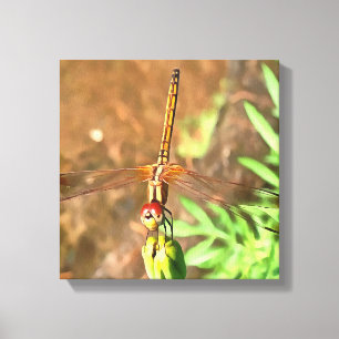 Toile Dragonfly Artistique Reposant Sur Une Tête De Fleu