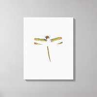 Dragonfly miniature sur Arrière - plan blanc