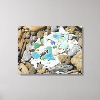 Toile Dritwood Rock Garden Canvas art Seashells Beach