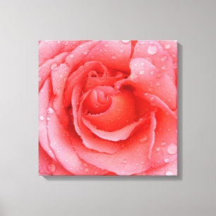 Toile Drops d'eau rose romantique