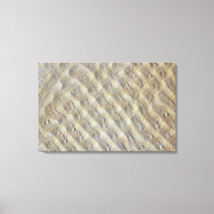 Toile Dunes de sable dans l'erg de Fachi-Bilma