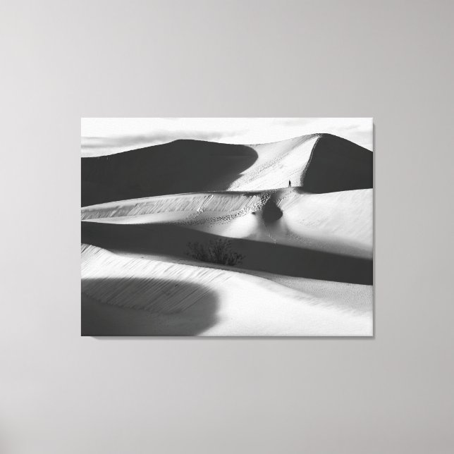 Toile Dunes de sable Mesquite (Recto)