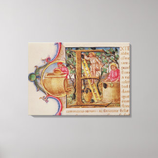 Toile 'E' initial historique représentant la cueillette 