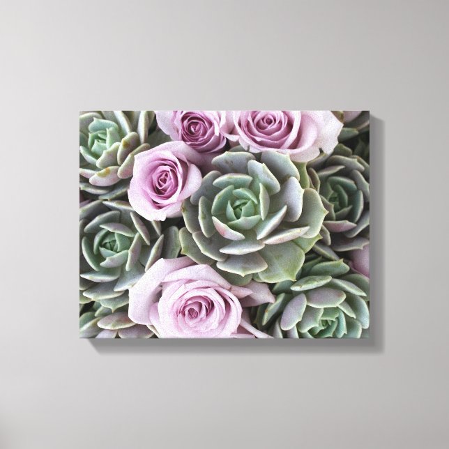 Toile Echeverias et roses par Debra Lee Baldwin (Recto)