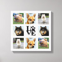 École photo de chien 8 images Instagram