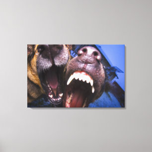 Toile Écorcement de chiens