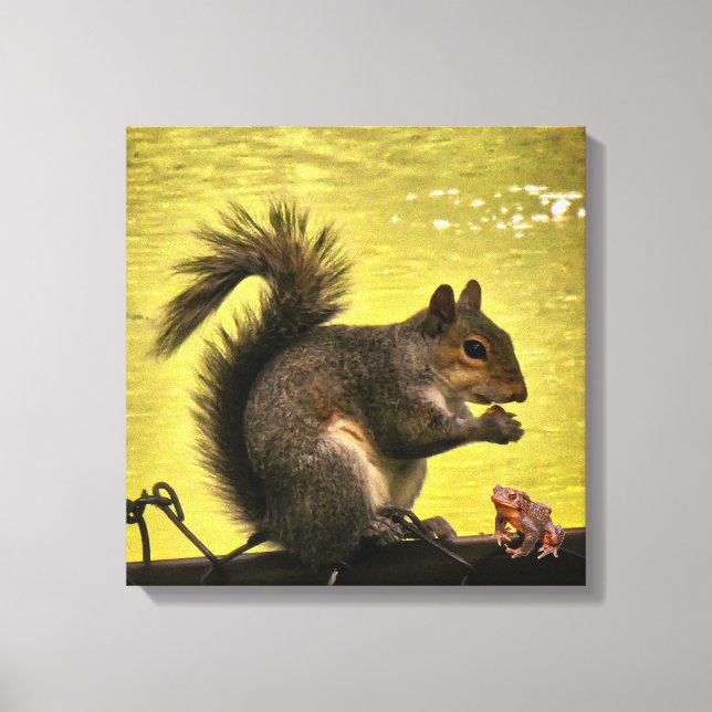 Toile Écureuil gris de l'Est (Sciurus carolinensis)  (Recto)