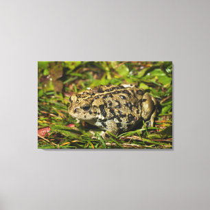 Toile Edmonton, Alberta, Canada 2