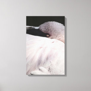 Toile Effet de dessin de portrait de flamant rose Art