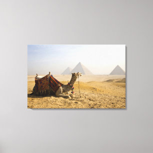 Toile Egypte, Le Caire. Un chameau solitaire