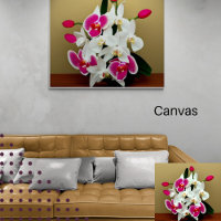 Élégant bouquet d'orchidées blanches et roses numé