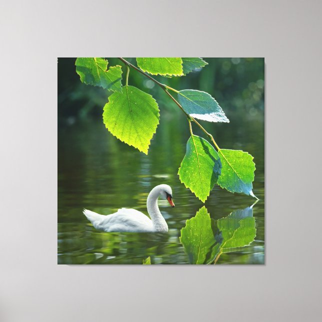 Toile Élégant cygne d'été (Recto)