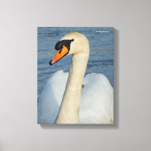 Toile Elégant cygne muet sur le lac