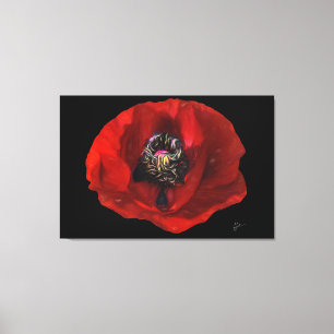 Toile Élégante fleur de pavot rouge sur Arrière - plan n