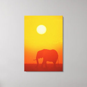 Toile Éléphant africain marchant au coucher du soleil,
