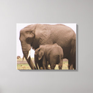 Toile Eléphant maman et bébé