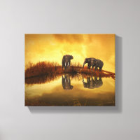 Eléphants asiatiques en Thaïlande sous un coucher 
