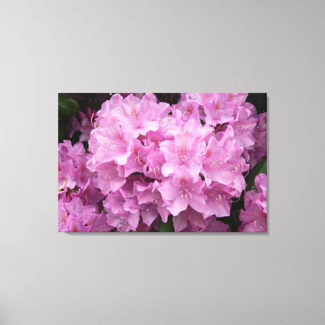 Toile Emballée Rhododendrons Rose (Recto)
