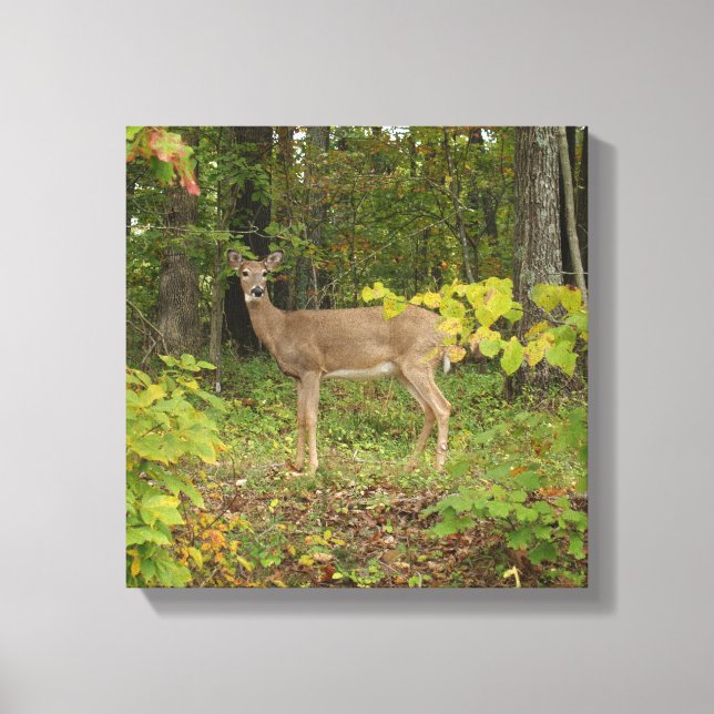 Toile En attente (Recto)