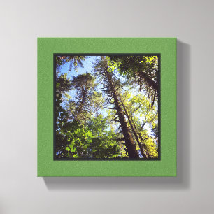 Toile En regardant les arbres