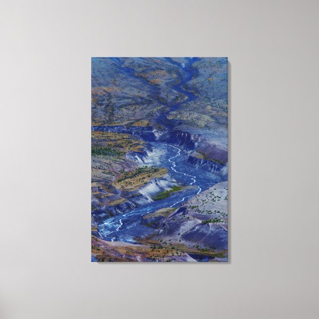 Toile En voie de disparition (Recto)