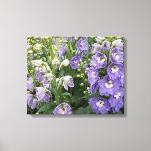 Toile enrobée de Delphinum Fleurs
