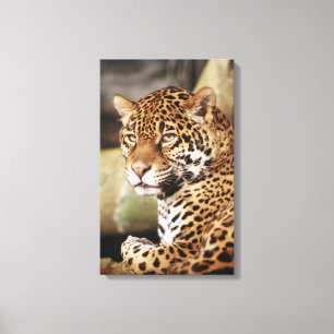 Toile enroulée de jaguar