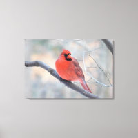 Toile Enveloppée Cardinal Nord (Crique Cardinal)