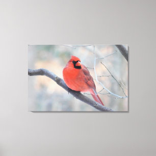 Toile Enveloppée Cardinal Nord (Crique Cardinal)