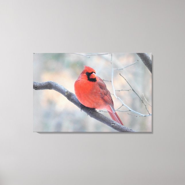 Toile Enveloppée Cardinal Nord (Crique Cardinal) (Recto)
