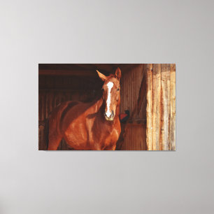 toile enveloppée de cheval de grange