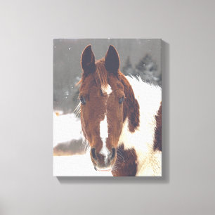 Toile enveloppée de cheval d'hiver