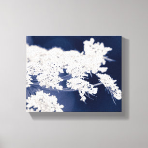 Toile enveloppée de dentelles de la reine Anne