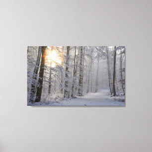 toile enveloppée de forêt d'hiver
