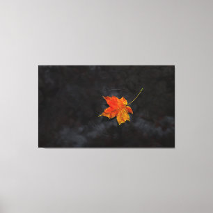 Toile enveloppée de "Haiku"