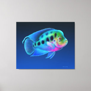 Toile enveloppée de poissons de Cichlid de