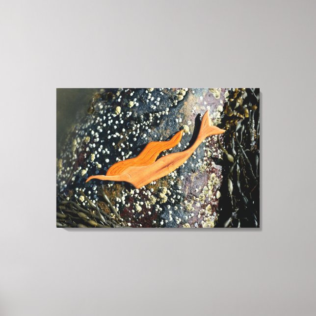 toile enveloppée de sirène de plongée (Recto)