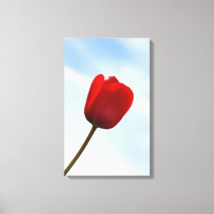 Toile enveloppée de tulipe rouge