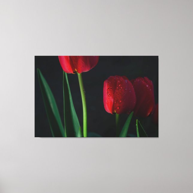Toile Enveloppée De Tulipes Rouges (Recto)