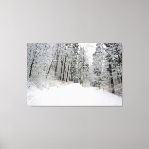 toile enveloppée d'hiver