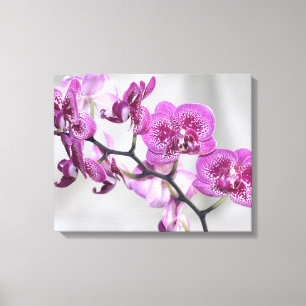 Toile Enveloppée D'Orchidées Roses